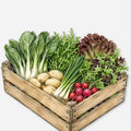 Local Blue Goose Farm Share